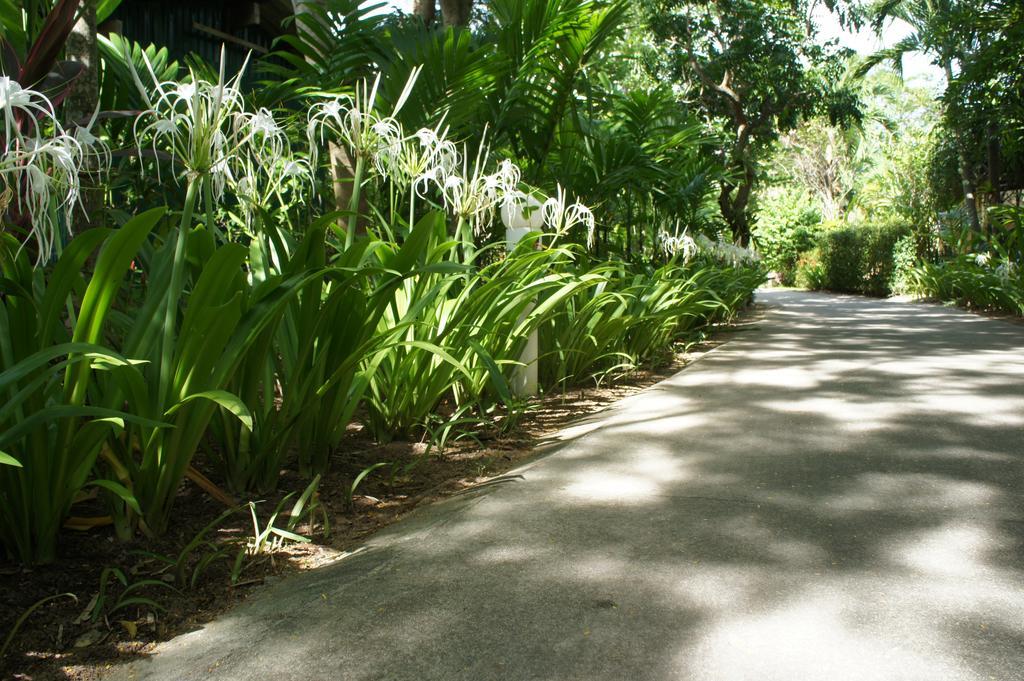 Palm Village Rawai Zewnętrze zdjęcie