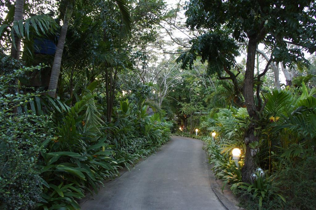 Palm Village Rawai Zewnętrze zdjęcie
