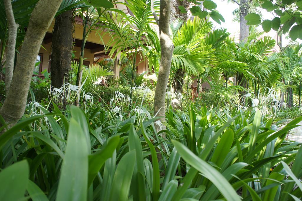 Palm Village Rawai Zewnętrze zdjęcie