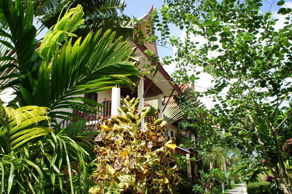 Palm Village Rawai Zewnętrze zdjęcie