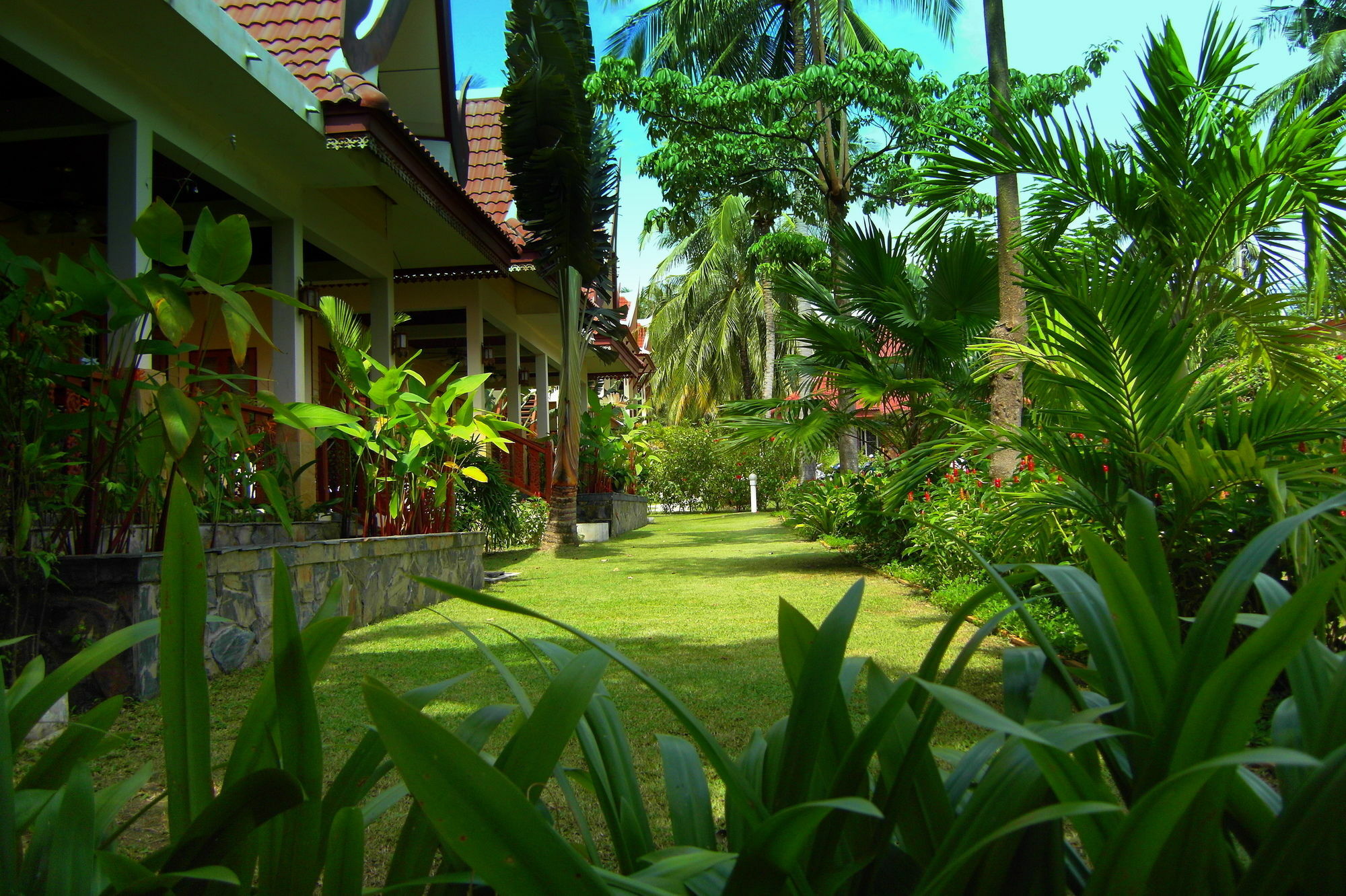 Palm Village Rawai Zewnętrze zdjęcie